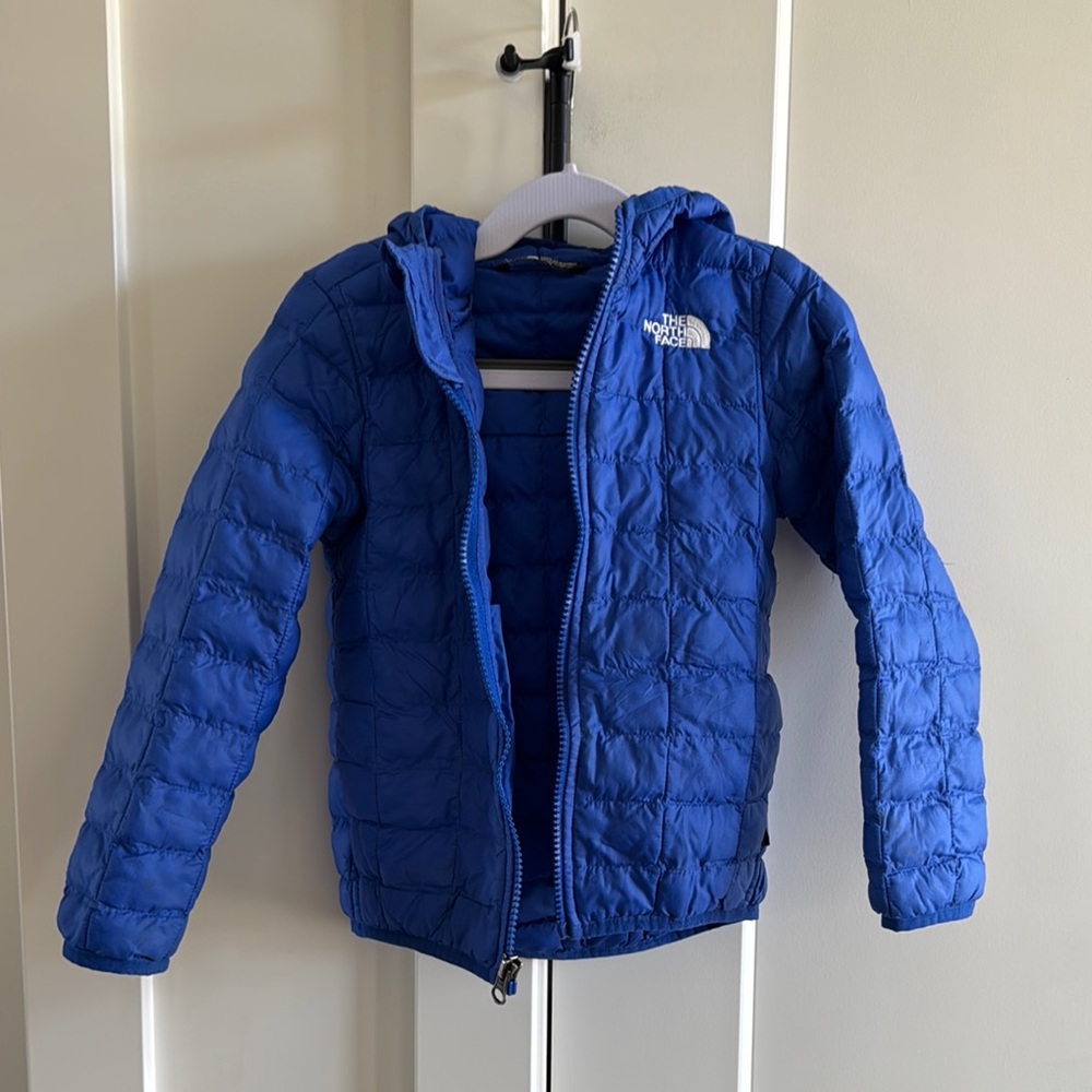 The North Face Blue Puffer Jacket